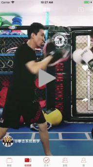 吃瓜娱乐拳击视频下载